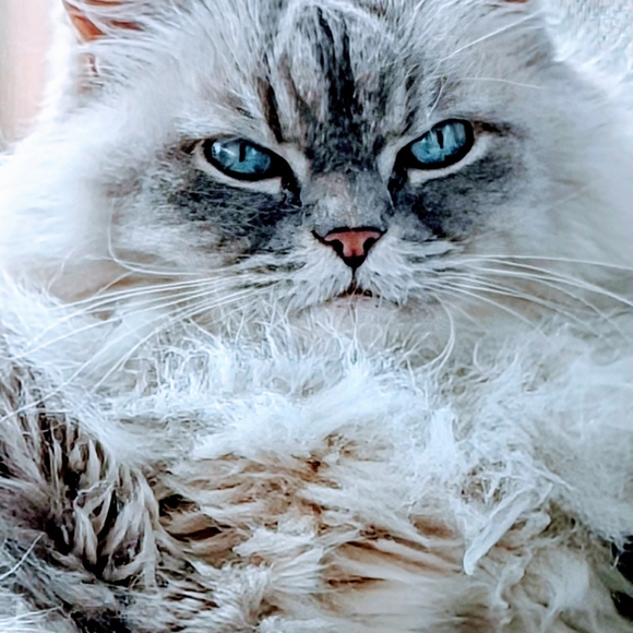 Meet your Posher, Lyndsay - Picture 1 of 1